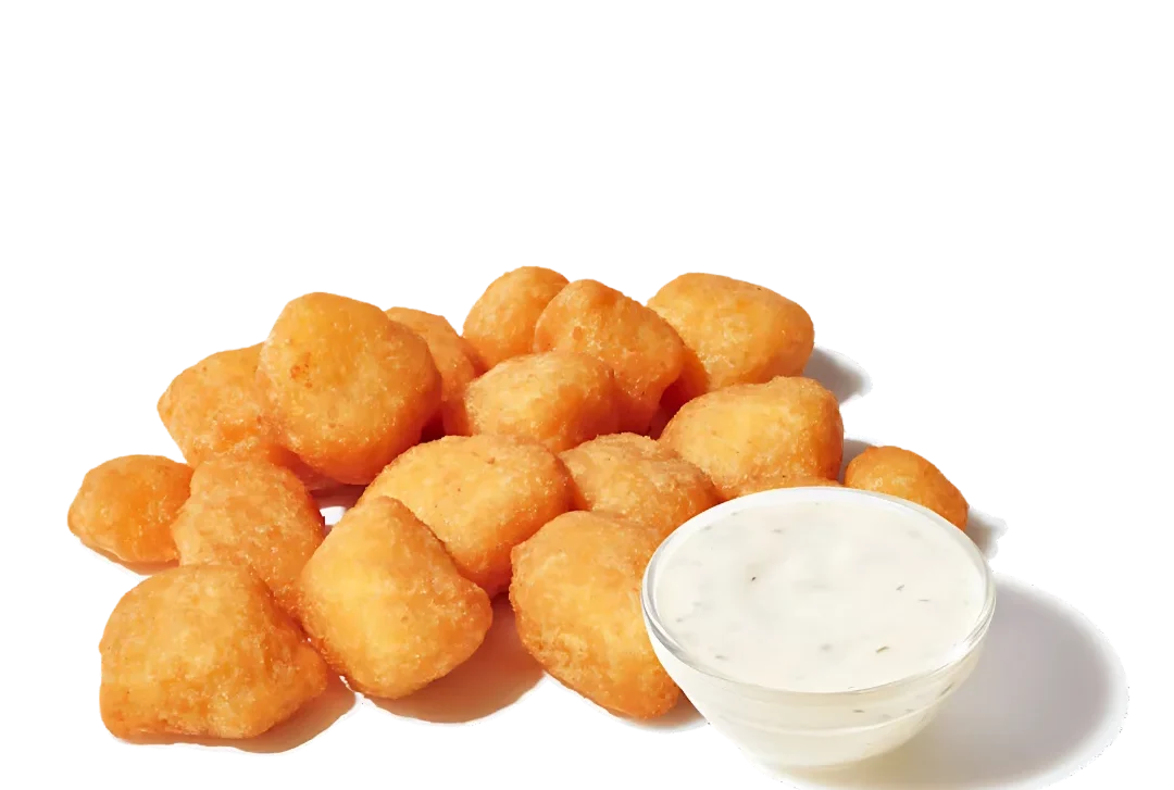 "Golden-brown fried white cheddar cheese bites served on a white plate"